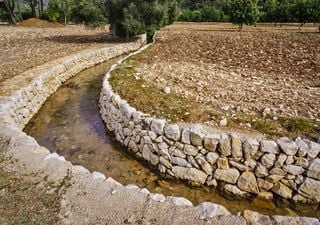 Una fantástica técnica milenaria es eficaz para enfrentar la sequía