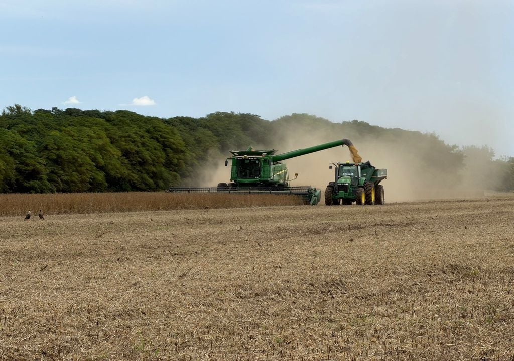Lote en plena cosecha de soja de segunda, en zona núcleo. Gentileza: @gboretto en X
