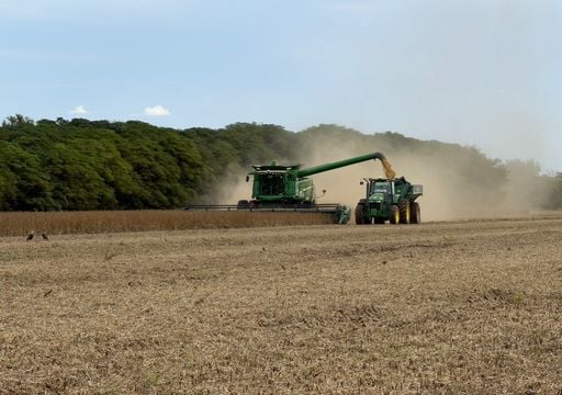 La soja entra en una semana clave sin lluvias para cosechar: atraso hist&oacute;rico y granos da&ntilde;ados por el exceso de agua