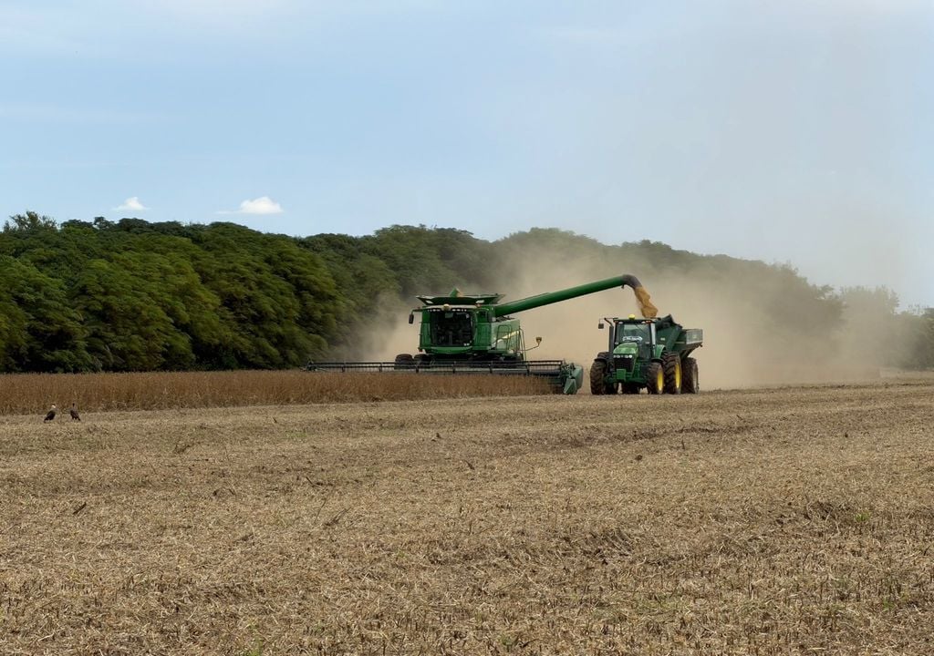 Lote de soja en pleno inicio de la cosecha 25/26. Gentileza: Guillermo Boretto, productor agropecuario identificado como @gboretto en la red social X.
