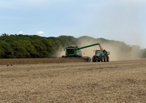 La soja entra en una semana clave tras las lluvias: cu&aacute;nto se avanz&oacute; y d&oacute;nde persisten los retrasos