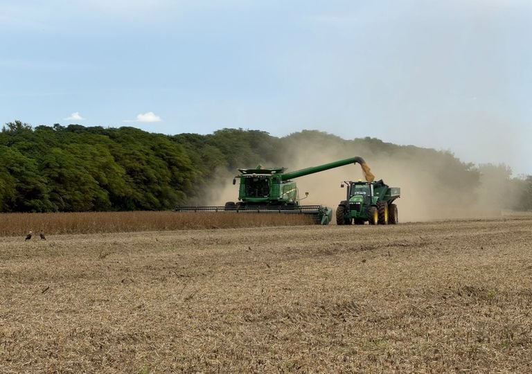 La soja entra en una semana clave tras las lluvias: cu&aacute;nto se avanz&oacute; y d&oacute;nde persisten los retrasos