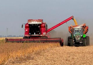 La soja sorprende con mejores rindes a los esperados y la campaña se proyecta en 50 millones de toneladas