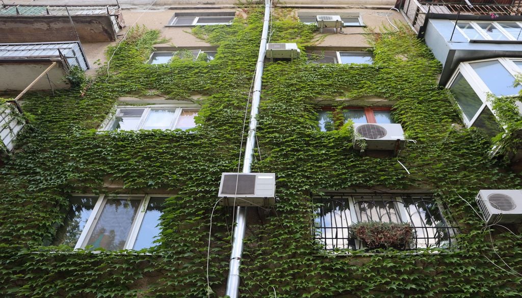 Los jardines verticales suponen un alivio para rebajar el calor de las viviendas, y así lo corroboran diferentes estudios.