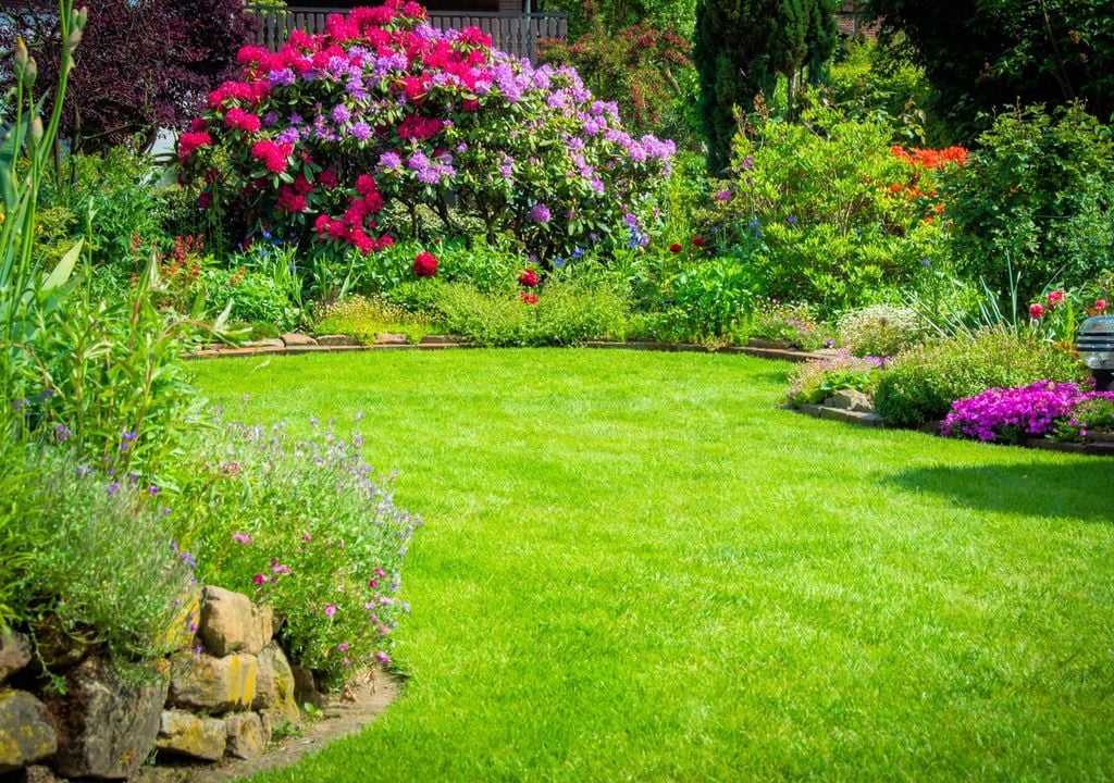 La presenza di azalee e rododendri rappresenta un valore aggiunto concreto e tangibile per qualsiasi spazio verde