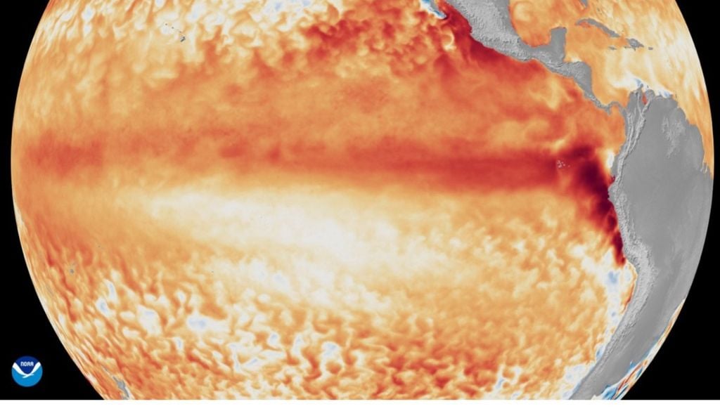 Le dinamiche innescate da El Niño, insieme ad acque equatoriali eccezionalmente calde, hanno dato vita a una stagione dei cicloni iperattiva sul Pacifico, caratterizzata quindi da dozzine di tempeste tropicali e diversi cicloni. L'Atlantico, invece, è rimasto completamente "a secco" di Uragani. Credits: NOAA