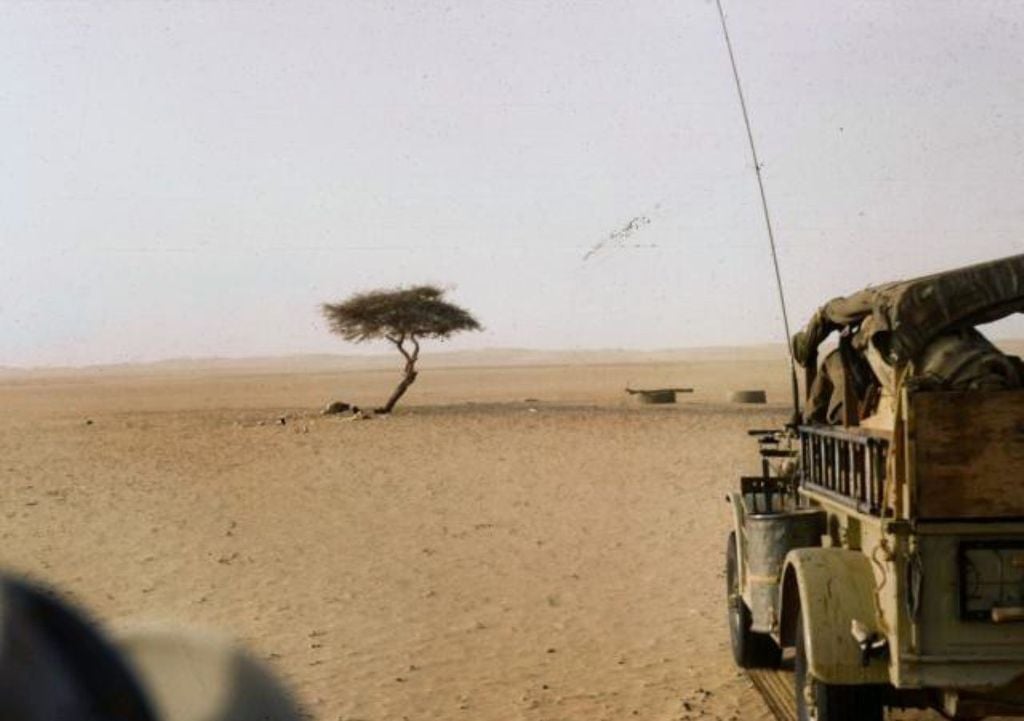 Photographie rarissime du célèbre arbre Tenerè, considéré comme l'arbre le plus solitaire de la planète, poussant au milieu du Sahara. Crédit Wikipédia.