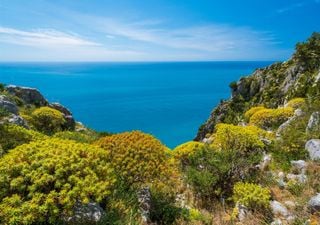 La straordinaria ricchezza di biodiversità offerta dalla macchia mediterranea