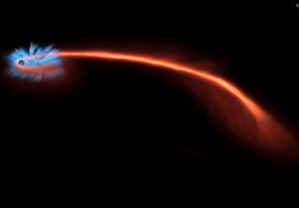 Spaghettificazione Rappresentazione artistica del processo di "spaghettificazione" di una stella da parte di un buco nero supermassiccio. Credit: NASA/CXC/M. Weiss
