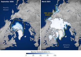 La superficie de hielo en ambos polos mantiene la tendencia declinante