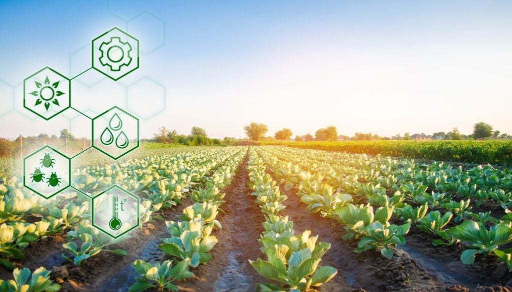 Coltivazioni fuori suolo: uno strumento complementare da integrare con i progressi dell'agricoltura in campo aperto