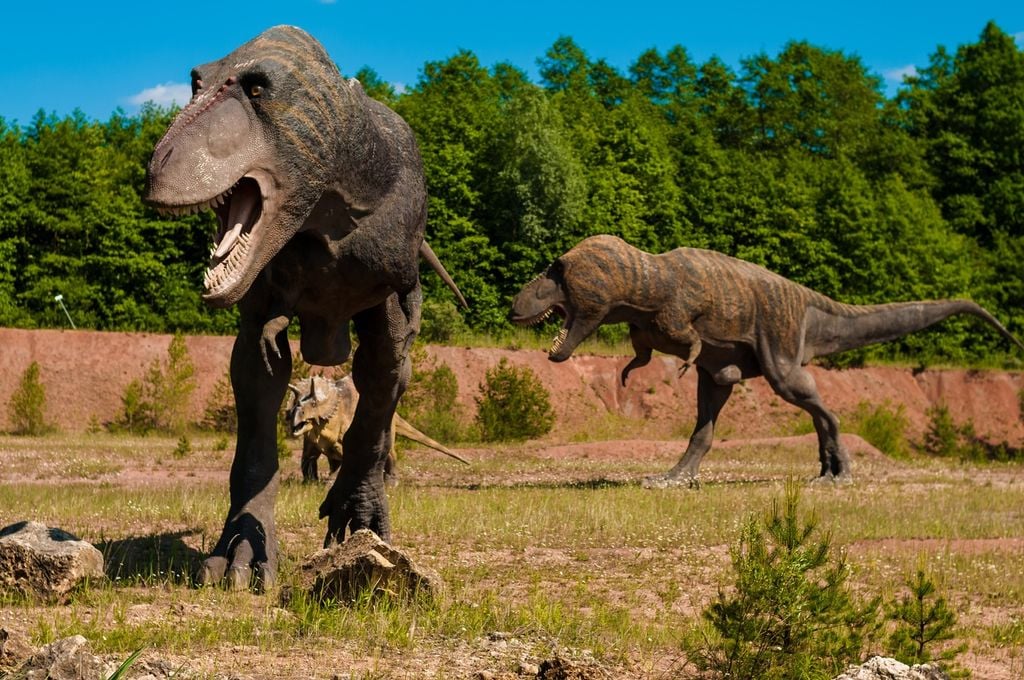 Recreación de varios dinosaurios Tyrannosaurus rex. Imagen de PXHERE.com