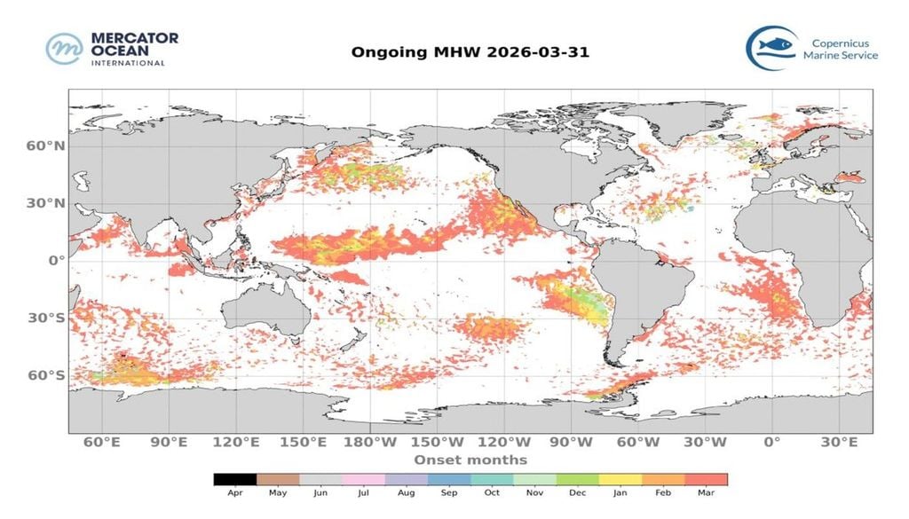 Mes de inicio de las olas de calor marinas en curso: 31 de marzo de 2026. Los colores indican el mes en que se inició cada ola de calor marina. Por ejemplo, los píxeles oceánicos en rojo corresponden a olas de calor marinas que se desarrollaron durante marzo de 2026 y tienen menos de un mes de antigüedad; en naranja, a olas de calor marinas de entre uno y dos meses de antigüedad, etc. Mercator Ocean International