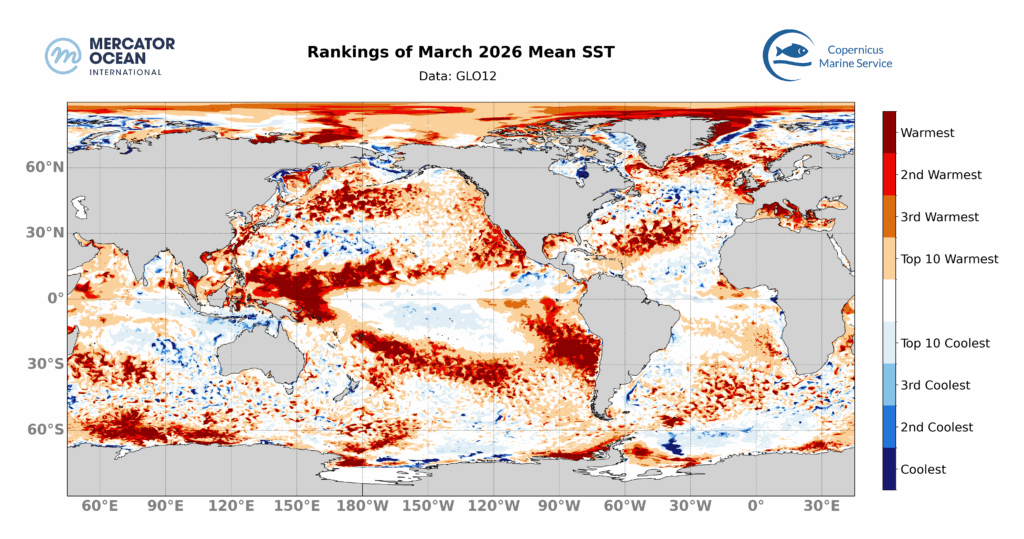 Clasificación de las temperaturas superficiales del mar (TSM) promedio mensuales alcanzadas en marzo de 2026, calculada a partir de datos diarios del sistema de análisis y pronóstico GLO12 de Mercator Ocean International para 2026 y del reanálisis GLORYS12 para la media climatológica. Los colores indican la posición de marzo de 2026 entre todos los meses de marzo desde 1993. Mercator Ocean International