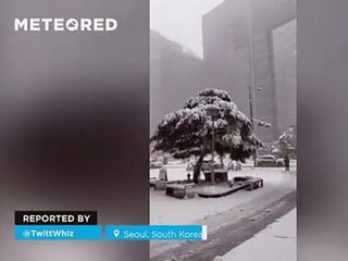 La primera nevada de la temporada cubre Seúl, Corea del Sur