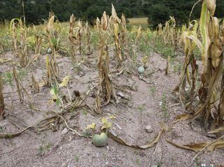 La temporada de lluvias debajo del promedio en Chihuahua, escaso almacenamiento de presas y nivel de sequía excepcional