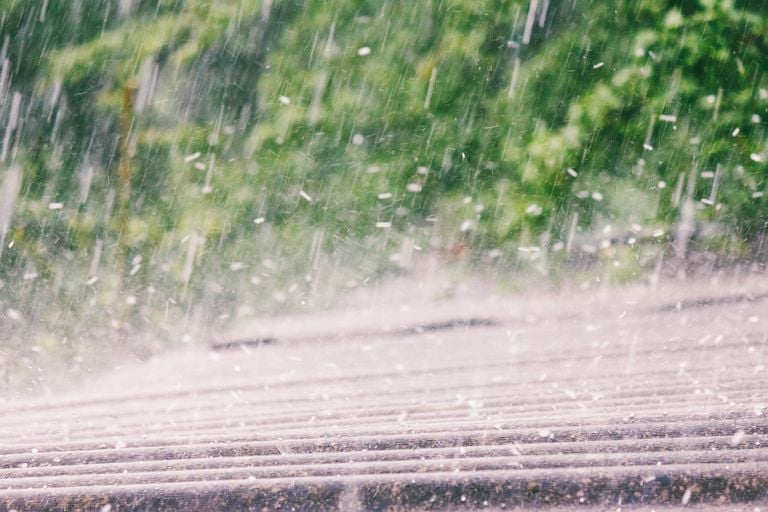 La temporada de lluvias impedir&aacute; que la sequ&iacute;a regrese: sistemas tropicales beneficiar&aacute;n, manteniendo h&uacute;medo a M&eacute;xico