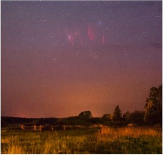 La temporada de sprites comienza