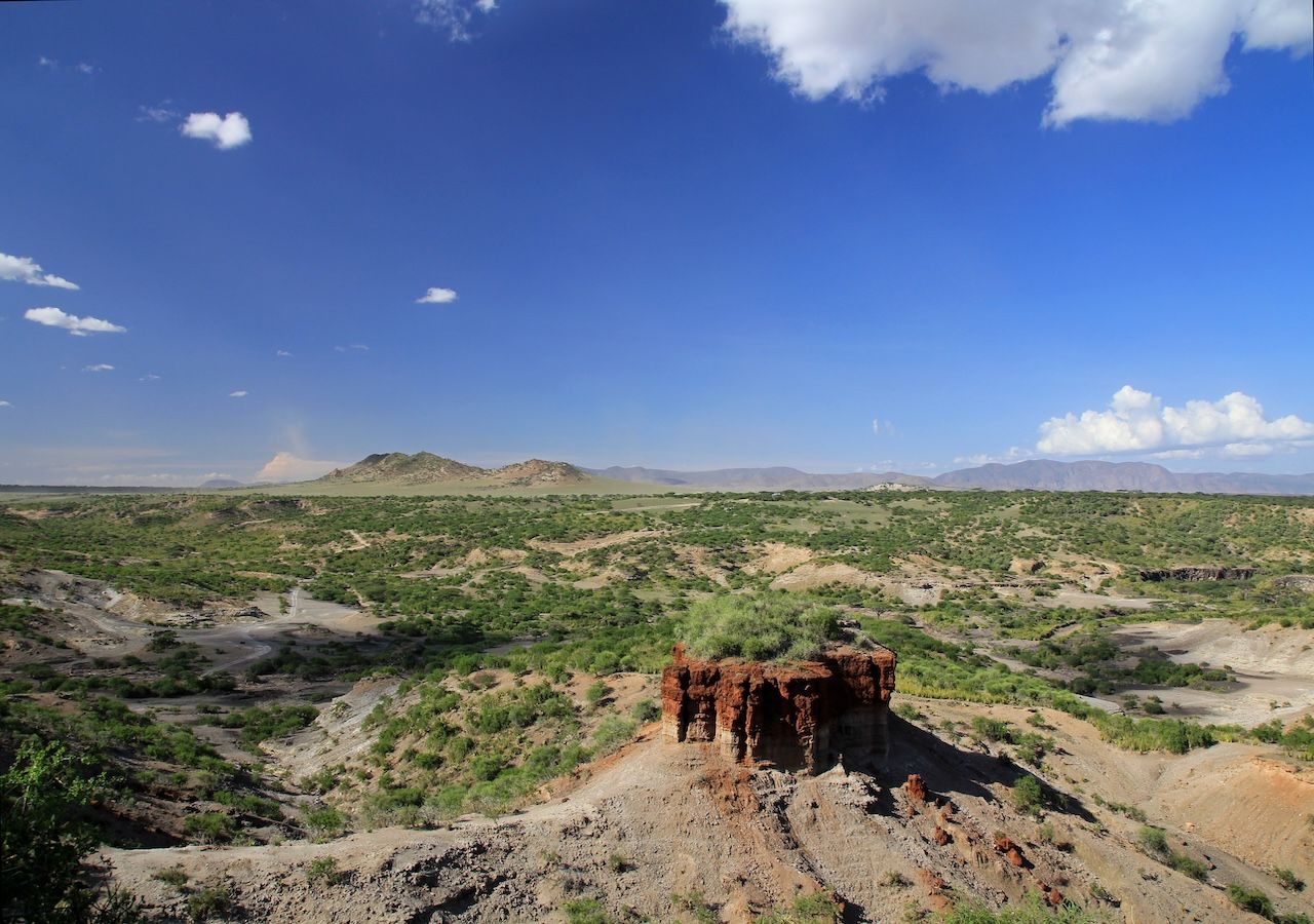 La Gola di Olduvai (o Oldupai), culla dell’umanità, Tanzania È un sito paleoantropologico celebre, situato nella Great Rift Valley, considerato uno dei luoghi fondamentali per lo studio delle origini dell'uomo.