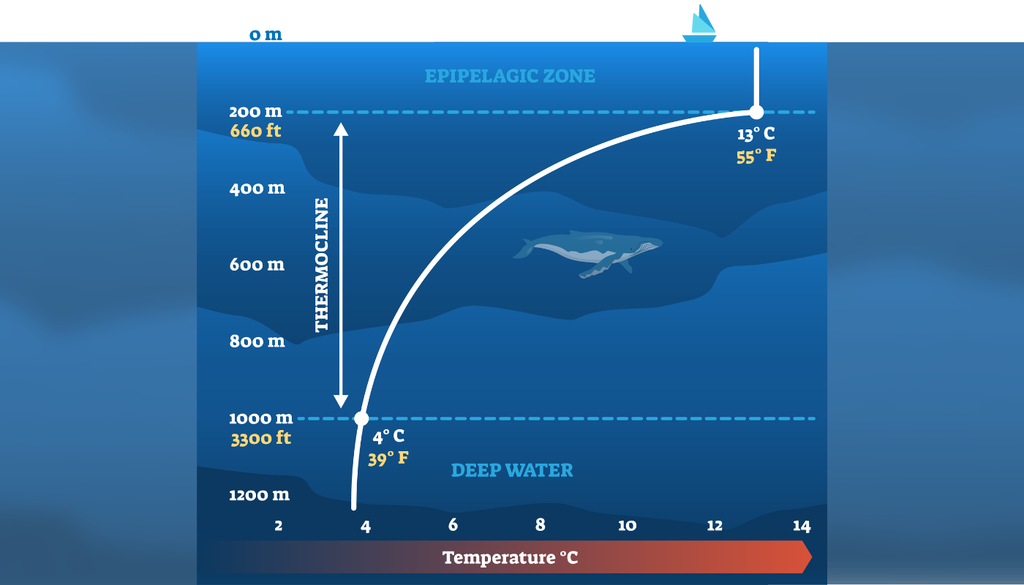 Así cambia la temperatura del agua al aumentar la profundidad.