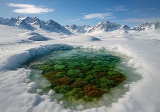 La Tierra fue una bola de nieve durante millones de años: hallazgos en la Antártida revelan cómo sobrevivió la vida