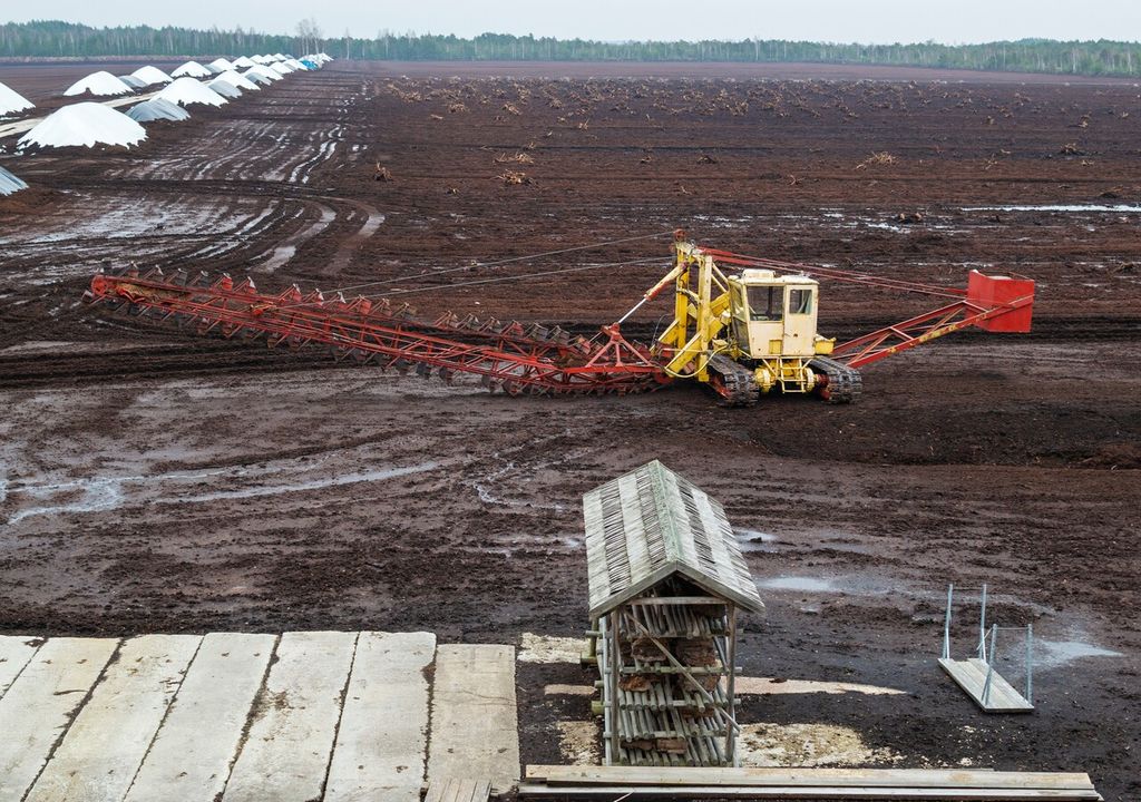 turberas Chile turberas Chile