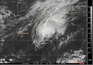 La tormenta tropical Dolphin camino de Tokio