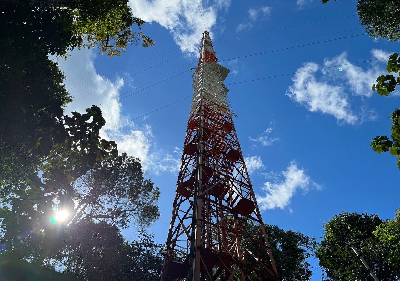 La torre più alta dell'America Latina si trova nel cuore dell'Amazzonia ...