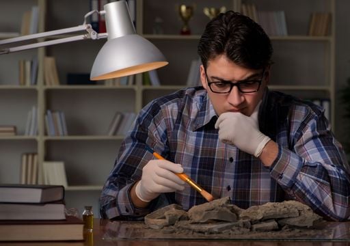 Unos cient&iacute;ficos de la UB desarrollan un nuevo m&eacute;todo para descifrar c&oacute;mo se desplazaban nuestros ancestros