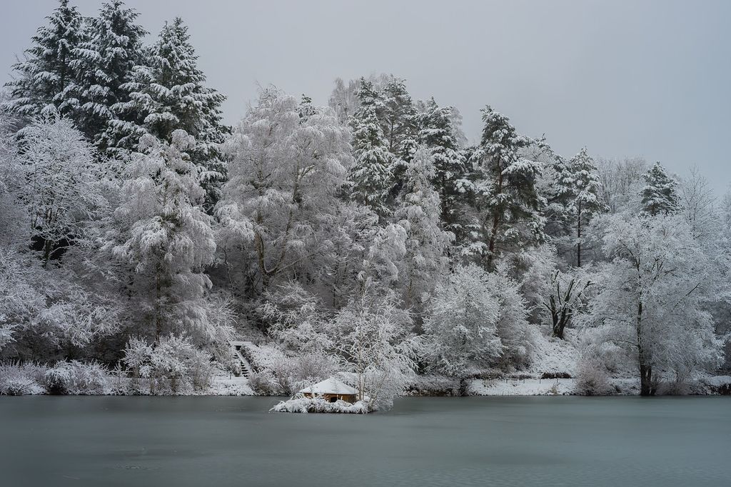 Vague de froid Vague de froid
