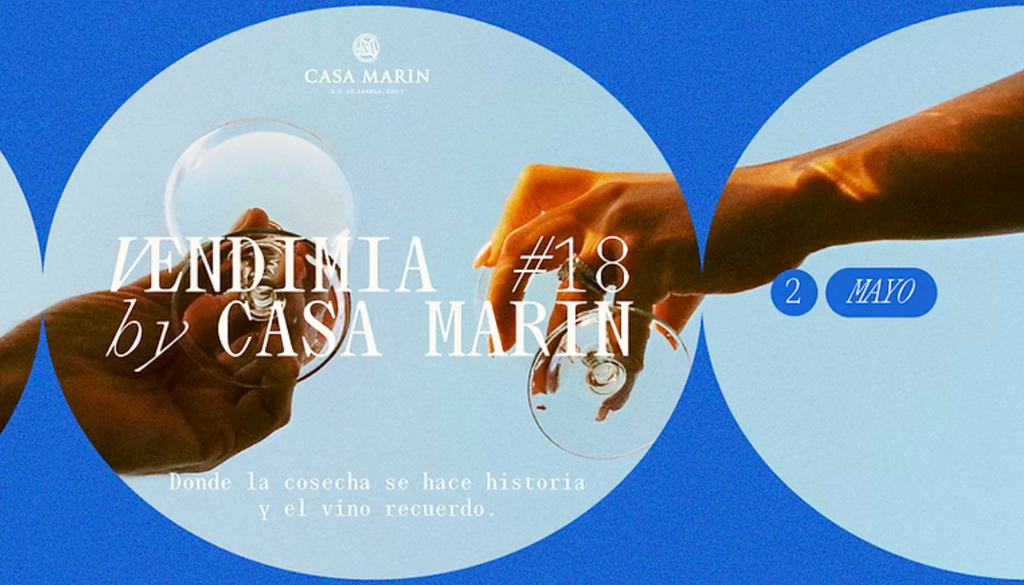 Este sábado se realizará la edición 18 de la Fiesta de la Vendimia Casa Marín. Crédito: casamarin.cl.