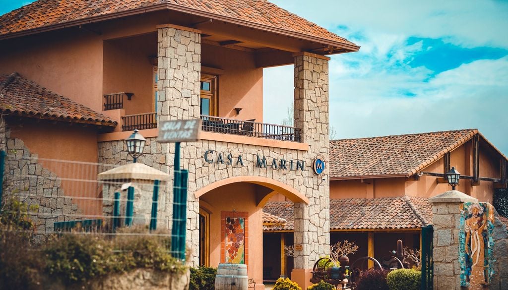 El sábado 2 de mayo, la viña Casa Marín será el epicentro del enoturismo en la Región de Valparaíso. Crédito: casamarin.cl.