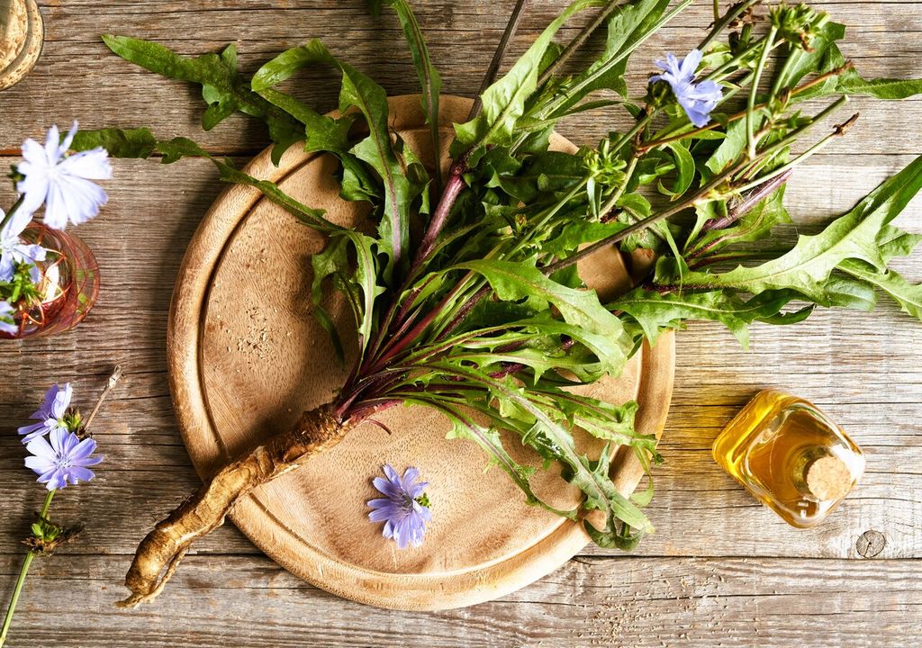 La cicoria selvatica (Cichorium intybus): da "verdura dei poveri" a tesoro gourmet