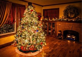 La verità sull’albero di Natale: origini, miti e tradizioni svelate sul più iconico simbolo delle feste