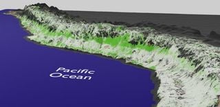 Il versante pacifico del Peru sta diventando più verde? una buona notizia?