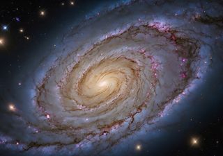 La Vía Láctea se está convirtiendo en un “cementerio de estrellas”, afirman los científicos