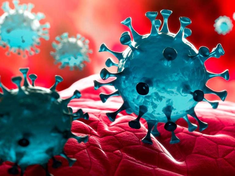 La vida del coronavirus: 3 h en el aire, 2-3 días sobre superficies