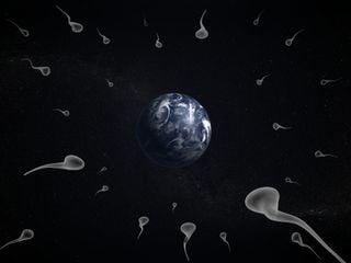 &iquest;La vida se sembr&oacute; desde el espacio? Esto plantea la teor&iacute;a de la panspermia que intriga a cient&iacute;ficos