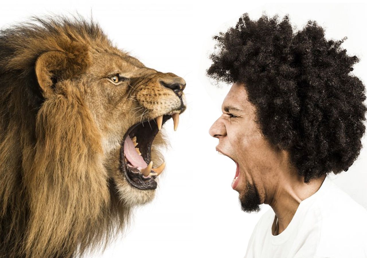 What's the most terrifying sound made by an animal? It's worse than the roar  of a lion