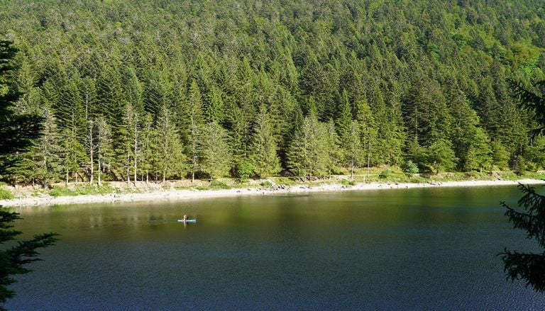 The Reason Experts Are Warning Against Swimming In Mountain Lakes This Summer