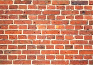 Ladrillos que respiran: el futuro de la construcción podría absorber el carbono que nos sobra 