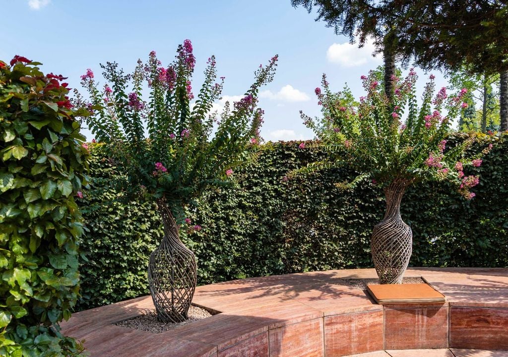 Per la messa a dimora scegliere una posizione soleggiata e riparata dai venti freddi