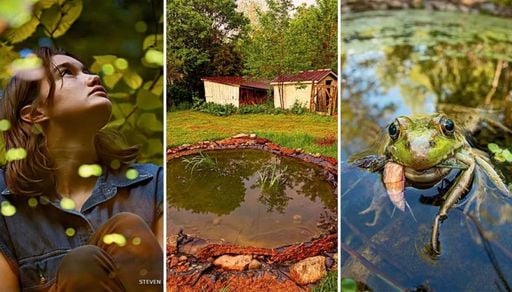 Lago criado por adolescente em projeto escolar vira ref&uacute;gio de biodiversidade nos Estados Unidos