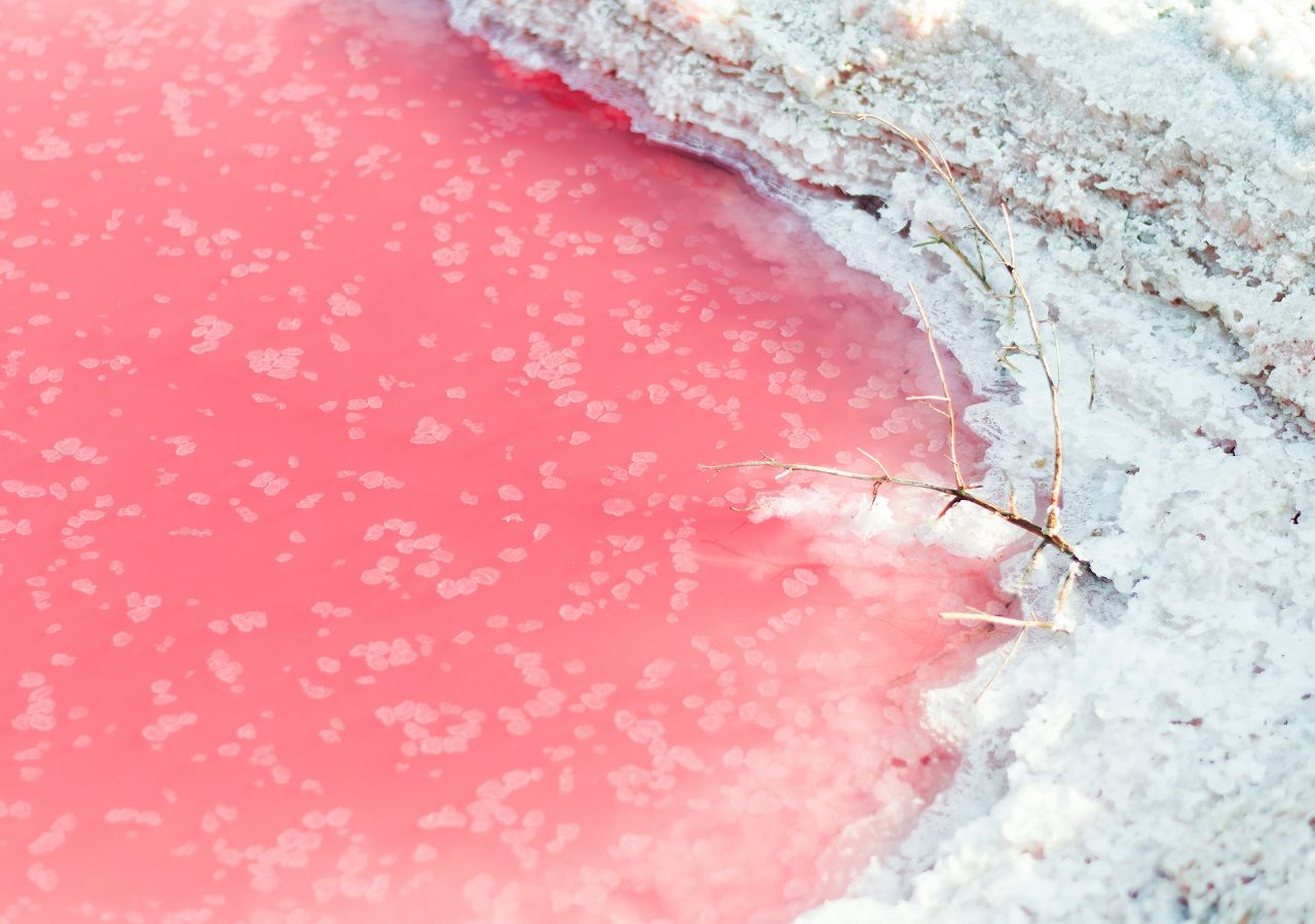 Por que estas águas na Austrália estão cor-de-rosa? - Olhar Digital