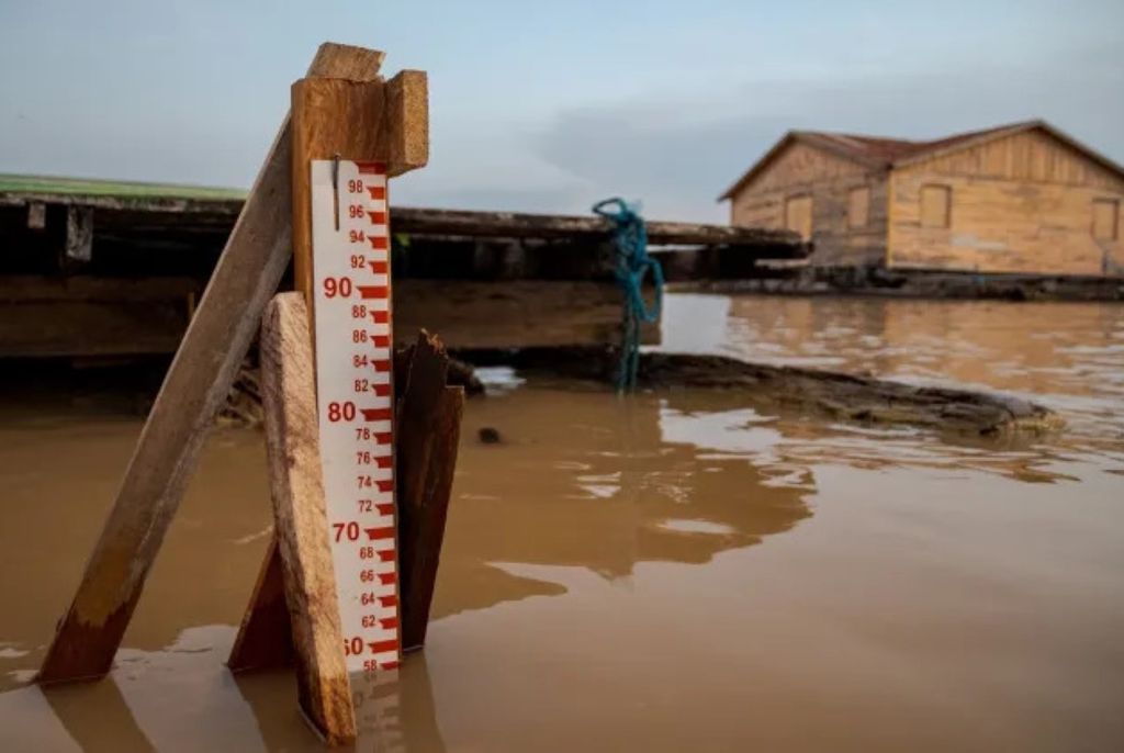 Nível da água do lago de Tefé Imagem: Miguel Monteiro/Instituto Mamirauá… - Veja mais em https://noticias.uol.com.br/colunas/carlos-madeiro/2023/09/29/morte-em-massa-de-botos-da-amazonia-choca-pesquisadores-sem-precedentes.htm?cmpid=copiaecola Nível da água do lago de Tefé Imagem: Miguel Monteiro/Instituto Mamirauá… - Veja mais em https://noticias.uol.com.br/colunas/carlos-madeiro/2023/09/29/morte-em-massa-de-botos-da-amazonia-choca-pesquisadores-sem-precedentes.htm?cmpid=copiaecola