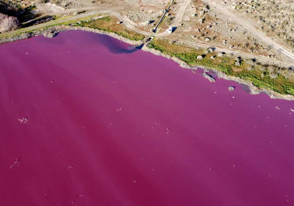 rio rosa, patagônia