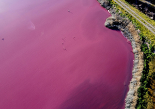 Lagoa “pintada” de rosa na Patagónia: porquê?