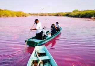 Une lagune a soudainement pris une couleur rosée 