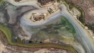 La laguna de Santa Olalla en en le Parque natural de Doñana se seca por tercer año consecutivo en 50 años con datos