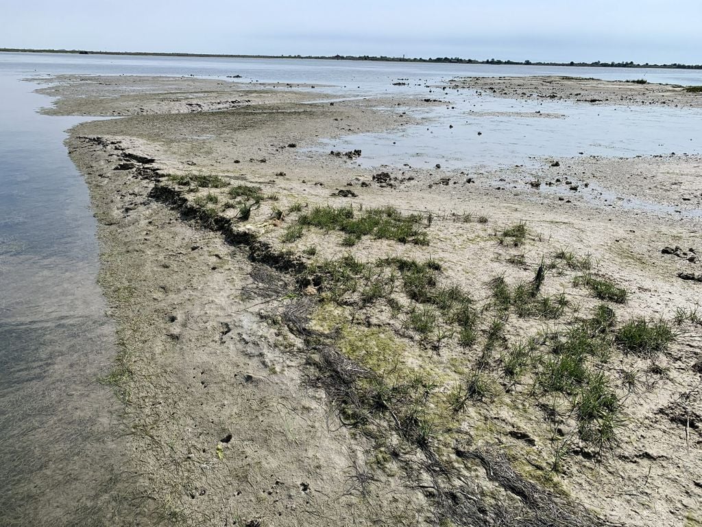 La laguna de Venecia, un entorno costero único declarado Patrimonio de la Humanidad por la UNESCO, es extremadamente vulnerable al cambio climático. (Alina Shchepetkina)